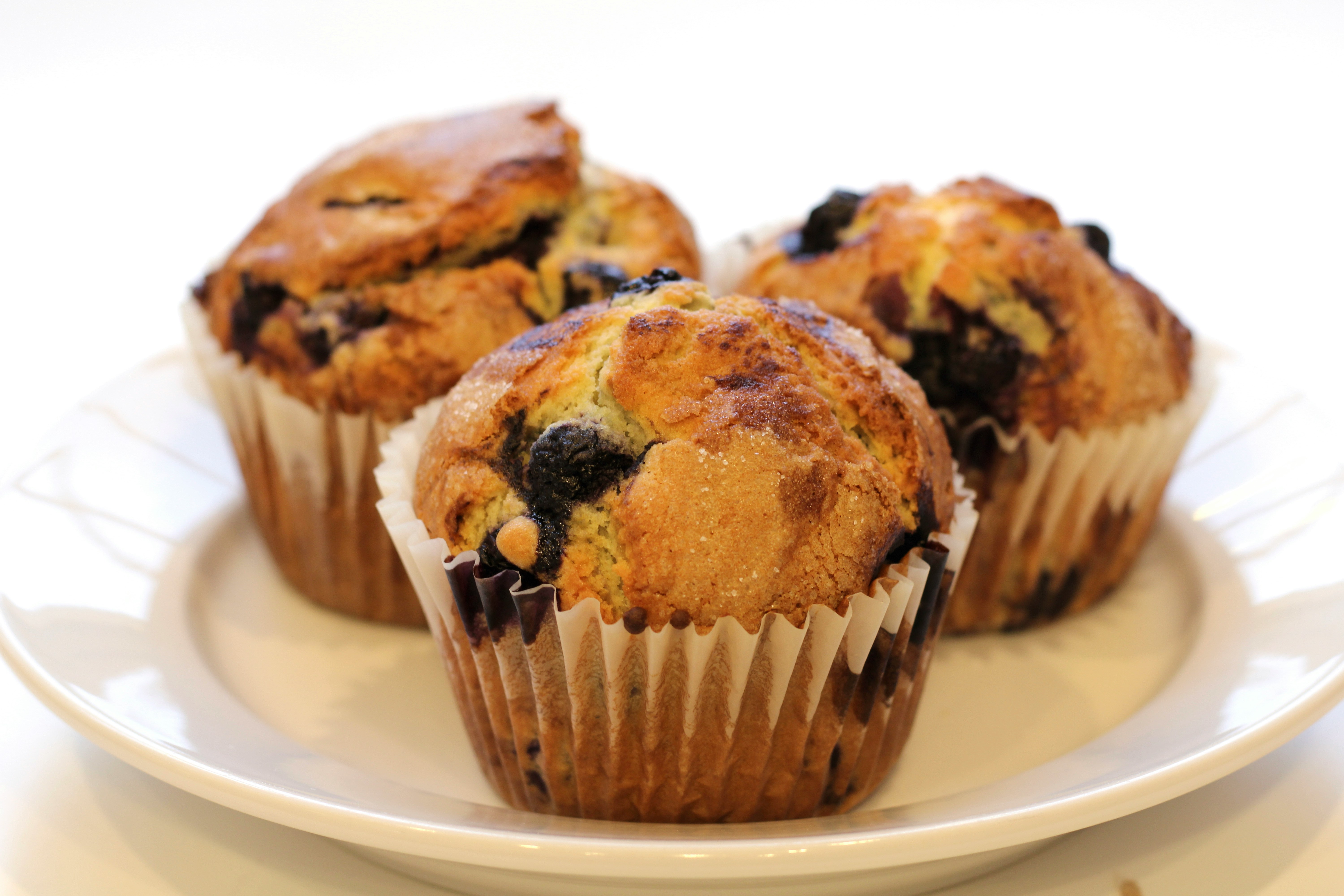Blueberry Muffin